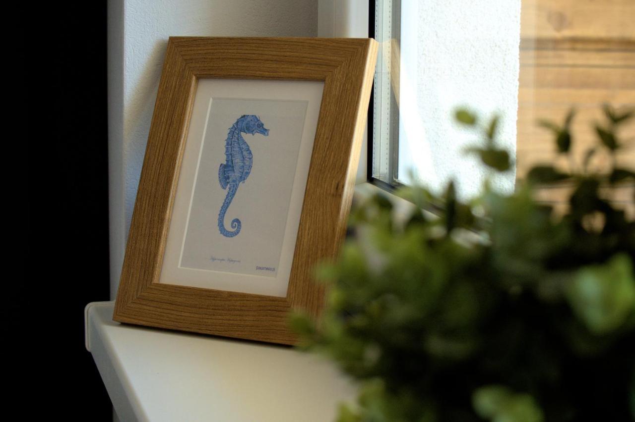 Apartamenty Marynarskie Debina  Exteriér fotografie